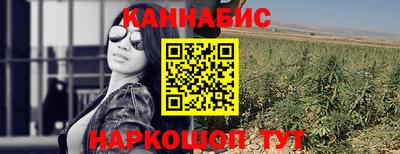 крисы Бузулук