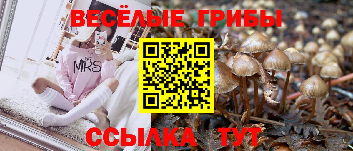 Галлюциногенные грибы Cubensis  Псилоцибиновые грибы GOLDEN TEACHER  Санкт-Петербург  Вход с VPN 