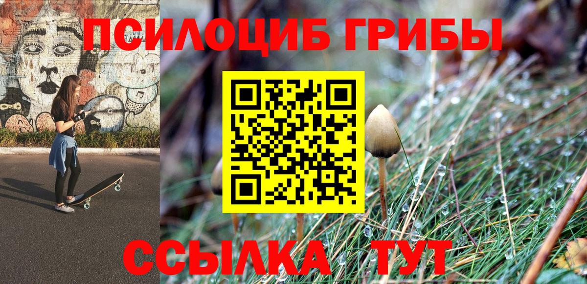Галлюциногенные грибы GOLDEN TEACHER Санкт-Петербург
